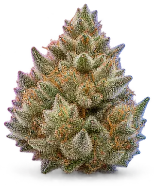 AI-generated illustration of a cannabis flower for the Creme De Luna page, not a photo of the strain