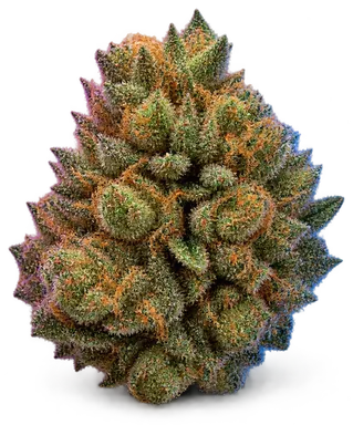 AI-generated illustration of a cannabis flower for the Cringer's Cookies page, not a photo of the strain