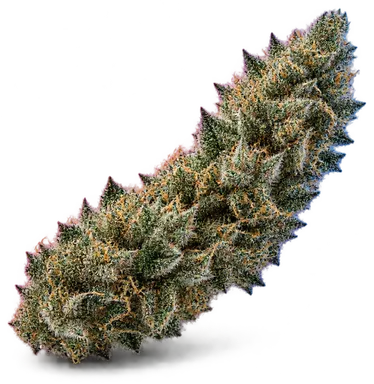 AI-generated illustration of a cannabis flower for the Critical Kush page, not a photo of the strain