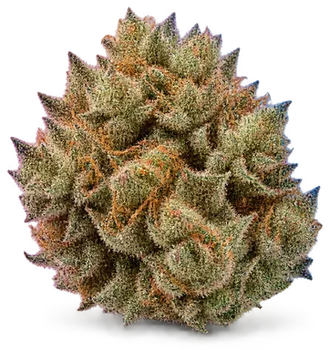 AI-generated illustration of a cannabis flower for the Crunch Punch page, not a photo of the strain