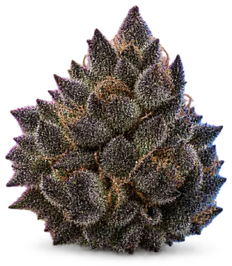 AI-generated illustration of a cannabis flower for the Dark Knight page, not a photo of the strain