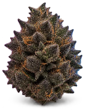 AI-generated illustration of a cannabis flower for the Dark Phoenix page, not a photo of the strain