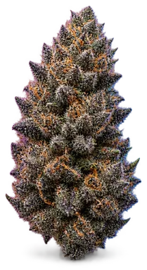 AI-generated illustration of a cannabis flower for the Dark Rainbow page, not a photo of the strain