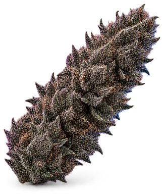 AI-generated illustration of a cannabis flower for the Dark Side page, not a photo of the strain