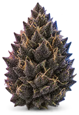 AI-generated illustration of a cannabis flower for the Dark Web page, not a photo of the strain