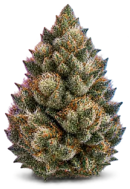 AI-generated illustration of a cannabis flower for the Deadhead OG page, not a photo of the strain