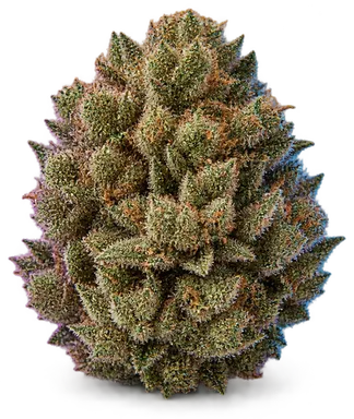 AI-generated illustration of a cannabis flower for the Dead Hot Strawberries page, not a photo of the strain