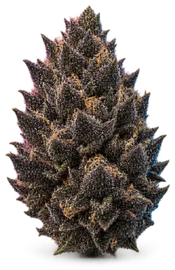 AI-generated illustration of a cannabis flower for the Deathstar Cherry Pie page, not a photo of the strain