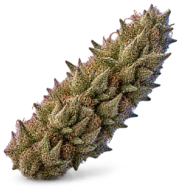 AI-generated illustration of a cannabis flower for the Deep Breath page, not a photo of the strain