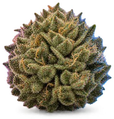 AI-generated illustration of a cannabis flower for the Delighted page, not a photo of the strain