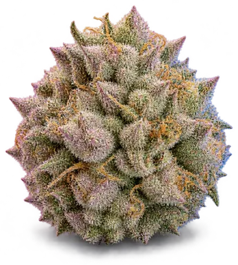 AI-generated illustration of a cannabis flower for the Derek Roseboom page, not a photo of the strain