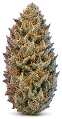 AI-generated illustration of a cannabis flower for the Desert Snow page, not a photo of the strain