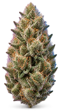 AI-generated illustration of a cannabis flower for the Dia De Los Muertos page, not a photo of the strain