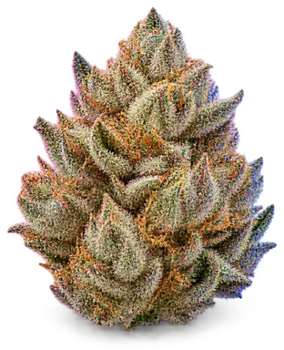 AI-generated illustration of a cannabis flower for the Diamond Kush Platinum page, not a photo of the strain