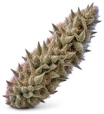 AI-generated illustration of a cannabis flower for the Diamond OG page, not a photo of the strain