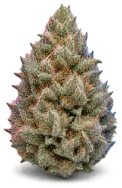 AI-generated illustration of a cannabis flower for the Diamond Sauce page, not a photo of the strain