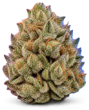 AI-generated illustration of a cannabis flower for the Divided Sky page, not a photo of the strain