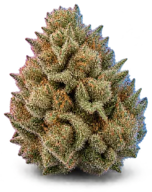 AI-generated illustration of a cannabis flower for the Divorce Cake page, not a photo of the strain