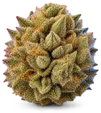 AI-generated illustration of a cannabis flower for the Donkey Butter page, not a photo of the strain