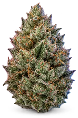 AI-generated illustration of a cannabis flower for the Don Mega page, not a photo of the strain