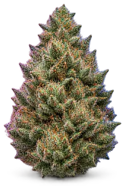 AI-generated illustration of a cannabis flower for the Do-Sa-Do page, not a photo of the strain