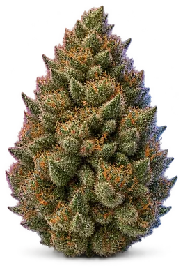 AI-generated illustration of a cannabis flower for the Dosa Do Lab Test page, not a photo of the strain