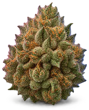 AI-generated illustration of a cannabis flower for the Do-Si-Dos page, not a photo of the strain