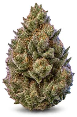 AI-generated illustration of a cannabis flower for the Dosi Face page, not a photo of the strain