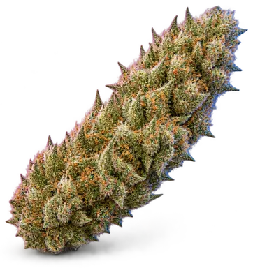 AI-generated illustration of a cannabis flower for the Dosi Woah page, not a photo of the strain