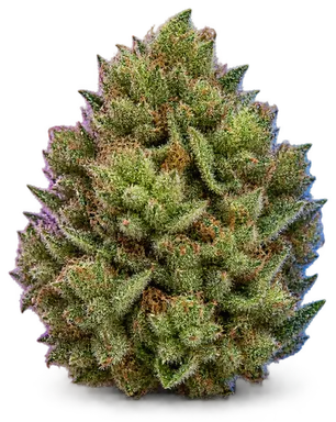 AI-generated illustration of a cannabis flower for the Double Lemon Pie page, not a photo of the strain