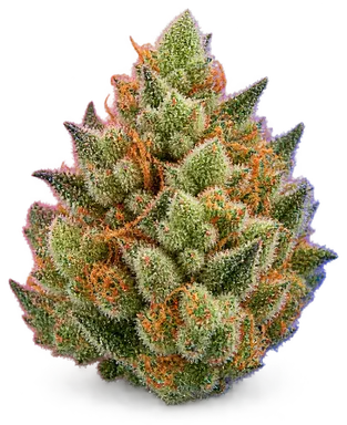 AI-generated illustration of a cannabis flower for the Double OG Sour page, not a photo of the strain