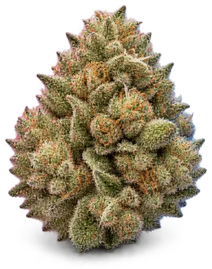 AI-generated illustration of a cannabis flower for the Drama page, not a photo of the strain