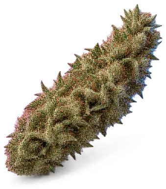 AI-generated illustration of a cannabis flower for the Dream Queen Lab Test page, not a photo of the strain