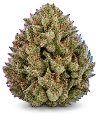 AI-generated illustration of a cannabis flower for the Dr J page, not a photo of the strain