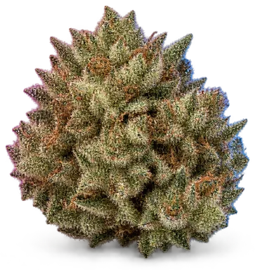AI-generated illustration of a cannabis flower for the Drops Of Jupiter page, not a photo of the strain