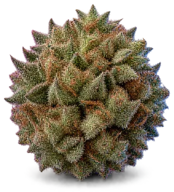 AI-generated illustration of a cannabis flower for the Duct Tape page, not a photo of the strain