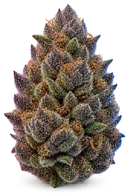 AI-generated illustration of a cannabis flower for the S Dulce De Uva page, not a photo of the strain