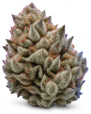 AI-generated illustration of a cannabis flower for the Dupree's Diamonds page, not a photo of the strain