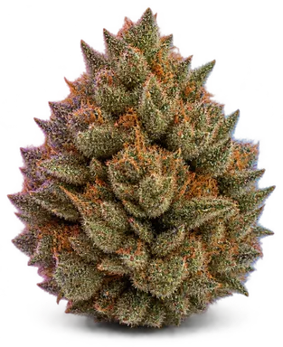 AI-generated illustration of a cannabis flower for the E23 page, not a photo of the strain