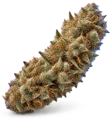 AI-generated illustration of a cannabis flower for the Ego Checker page, not a photo of the strain