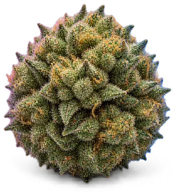 AI-generated illustration of a cannabis flower for the Elon Pie page, not a photo of the strain