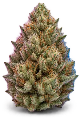 AI-generated illustration of a cannabis flower for the Ember Valley page, not a photo of the strain