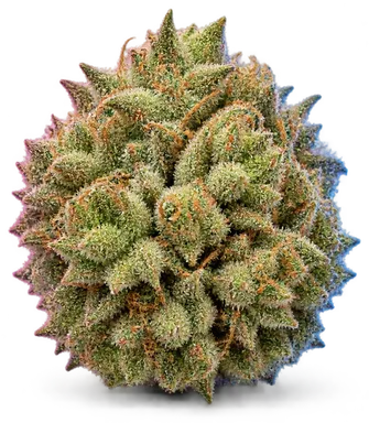 AI-generated illustration of a cannabis flower for the Erok page, not a photo of the strain