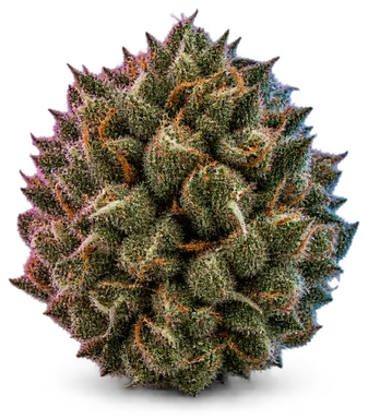 AI-generated illustration of a cannabis flower for the Eye Of Tiger OG page, not a photo of the strain