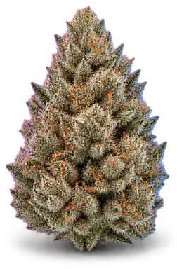 AI-generated illustration of a cannabis flower for the Face On Fire page, not a photo of the strain
