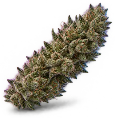 AI-generated illustration of a cannabis flower for the Fatso page, not a photo of the strain
