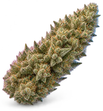 AI-generated illustration of a cannabis flower for the Fig Bar page, not a photo of the strain