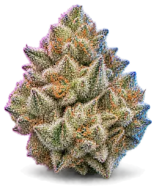 AI-generated illustration of a cannabis flower for the Filthy Animal page, not a photo of the strain