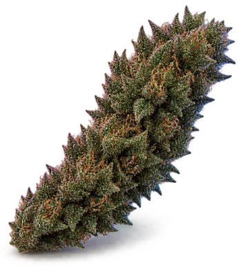 AI-generated illustration of a cannabis flower for the Fire OG page, not a photo of the strain