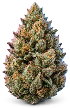 AI-generated illustration of a cannabis flower for the Fire Water page, not a photo of the strain